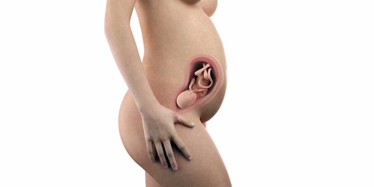 28. SSW – 28. Schwangerschaftswoche
