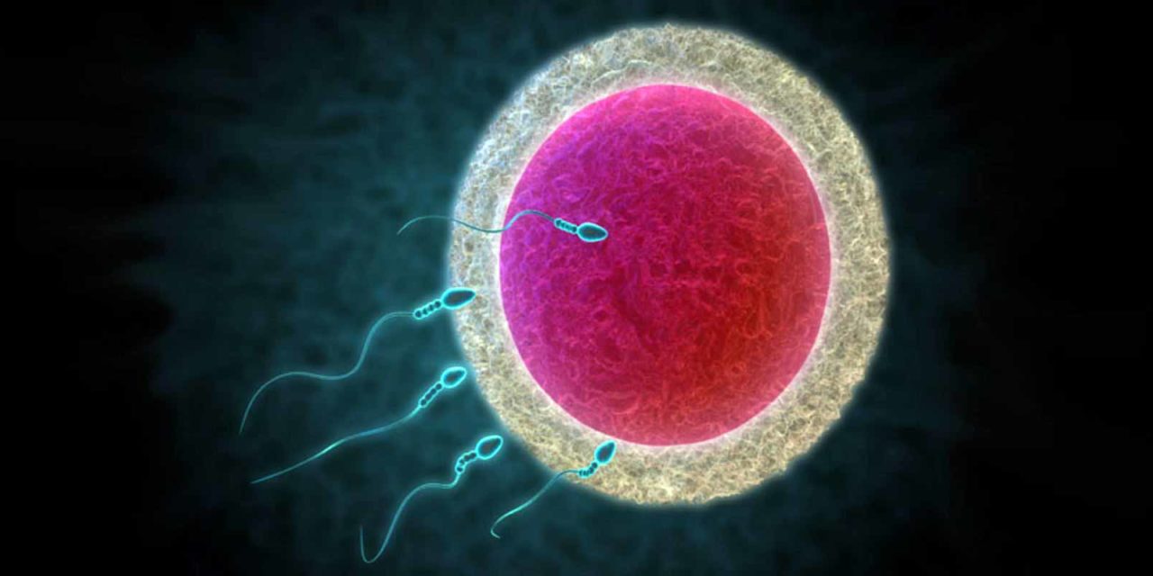 Sperma schwanger ohne Schwanger durch