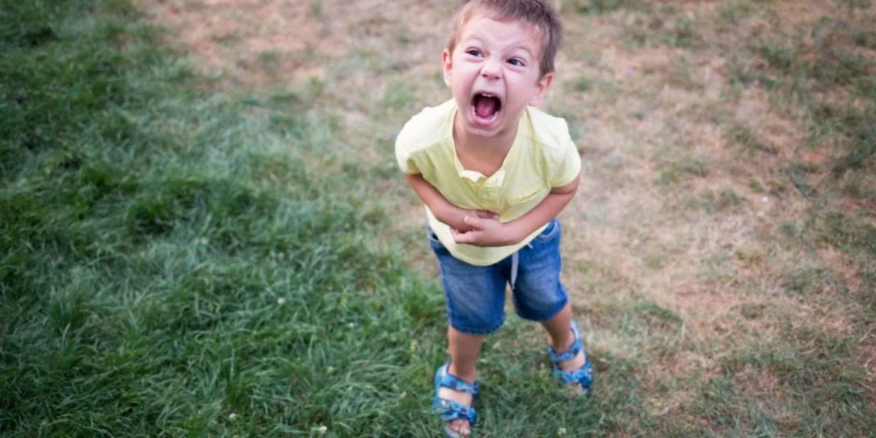 Aggressionen und Wut bei Kindern – wie geht man damit um Aggressionen und Wut bei Kindern – wie geht man damit um