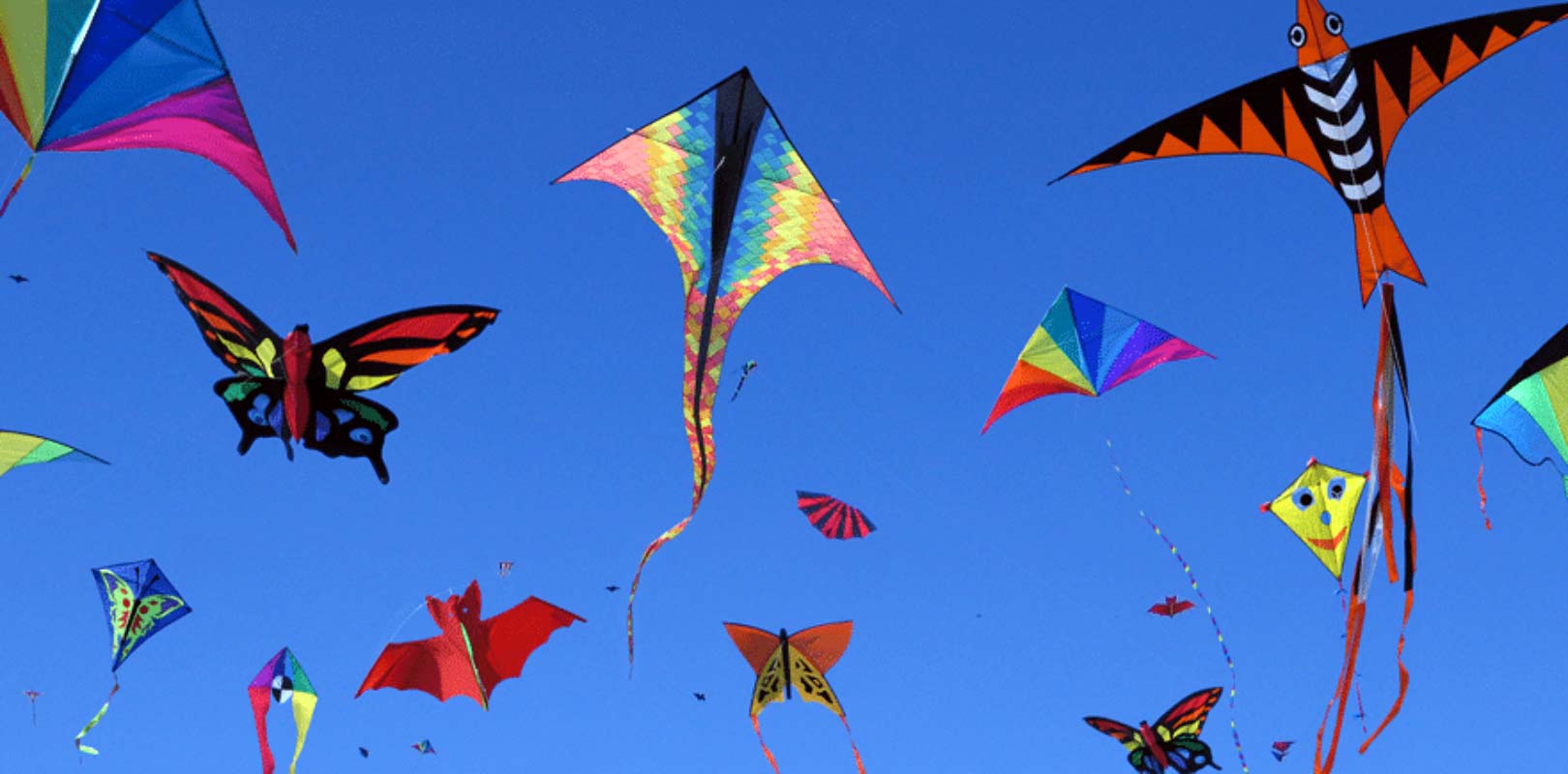 Lenkdrachen & Lenkmatten: Drachenstarker Flugspaß