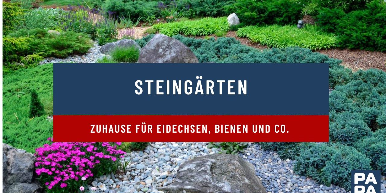 Steingarten – Zuhause für Eidechsen, Bienen und Co.